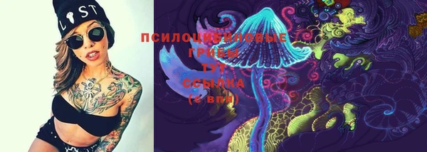 apvp Алексеевка