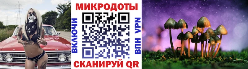 купить   Анива  OMG зеркало  Галлюциногенные грибы мицелий 
